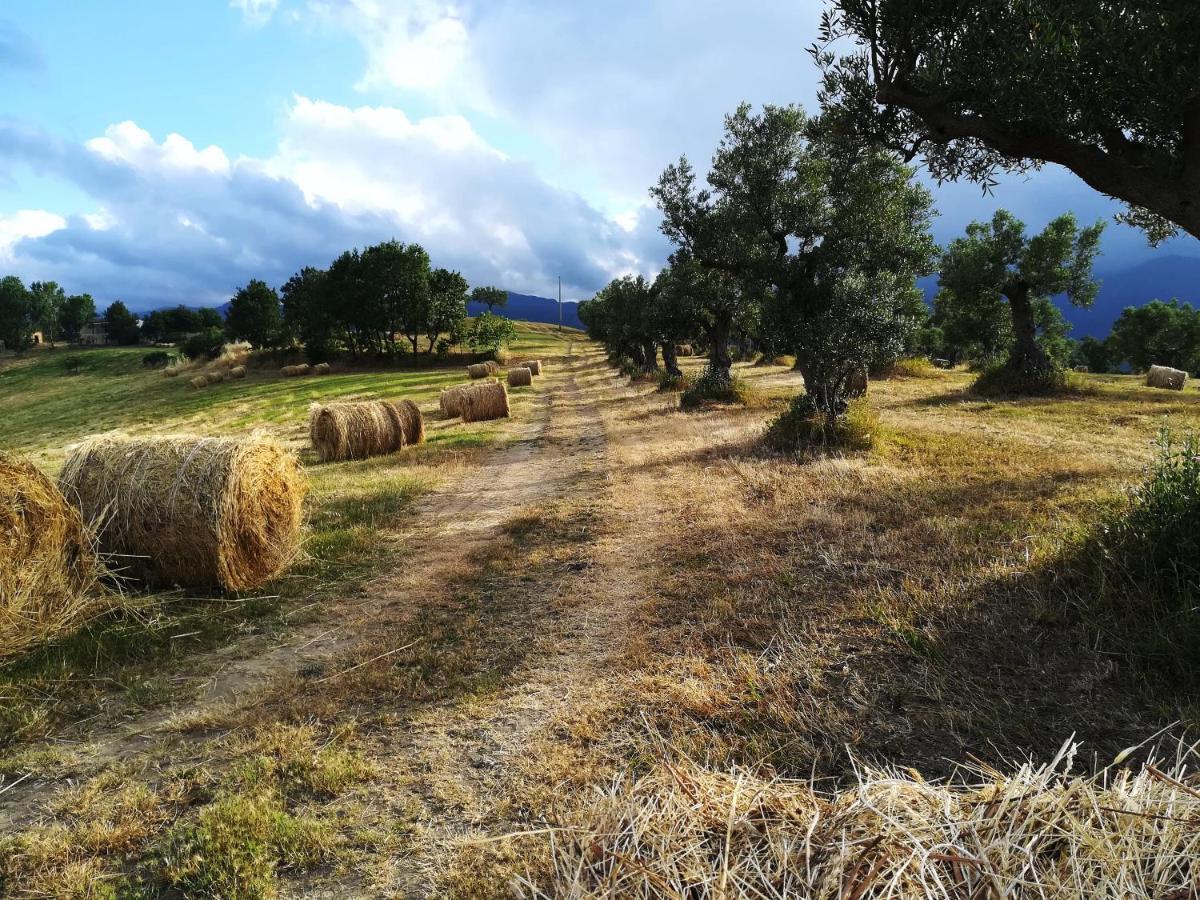 La Dimora Di Radha B&B Centro Olistico Rende Eksteriør bilde